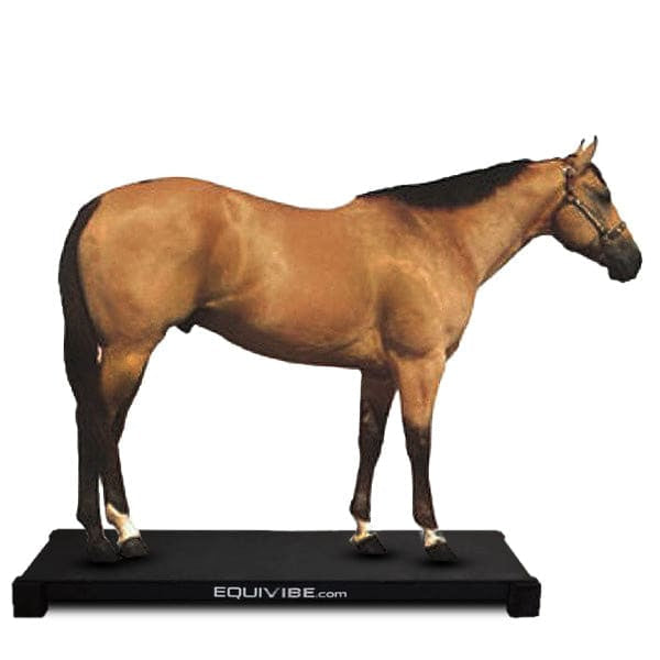 EquiVibe 3072 Equine Horse Vibration Platform 30 x 72