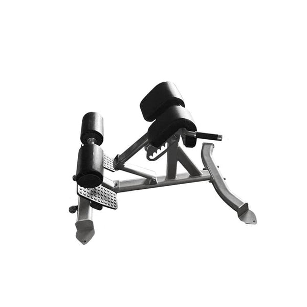 Muscle D Free Weight Line Hyper Extension Bench RLHEB Fitness