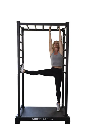 VibePlate VibeStretch Stretch Cage Vibration Trainer
