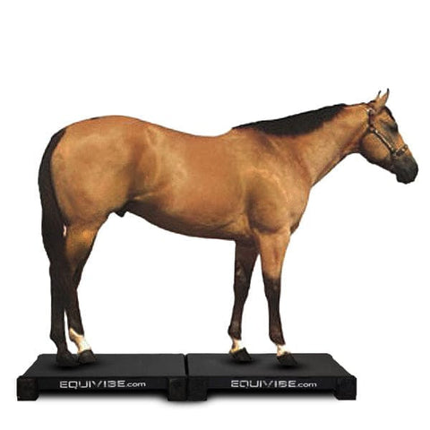 EquiVibe 3036 Equine Horse Vibration Platform (Set of Two:
