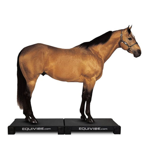 EquiVibe 3540 Equine Horse Vibration Platform (Set Of Two: