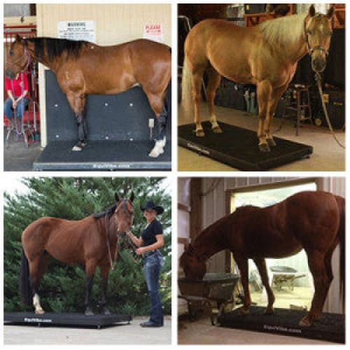 Used equine vibeplate for sale new arrivals