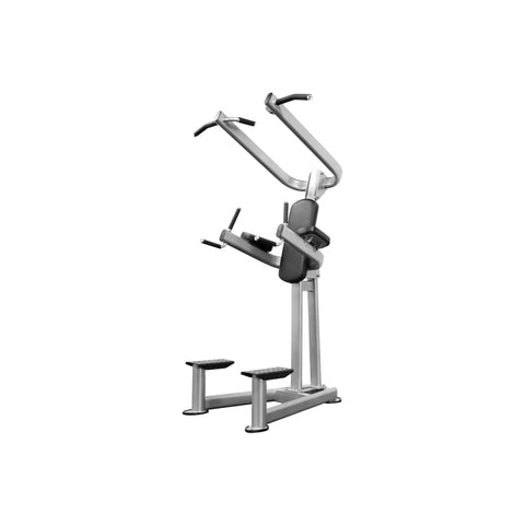 BodyKore Chin/Dip Station CF2110 - pull up tower